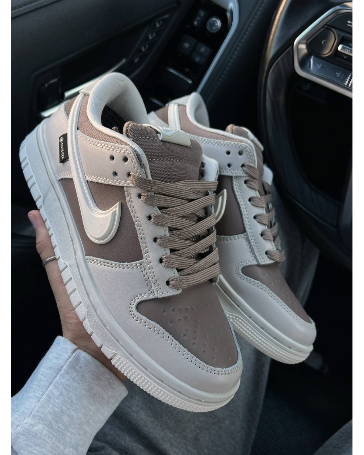 Nike SB Dunk Low Gore-Tex