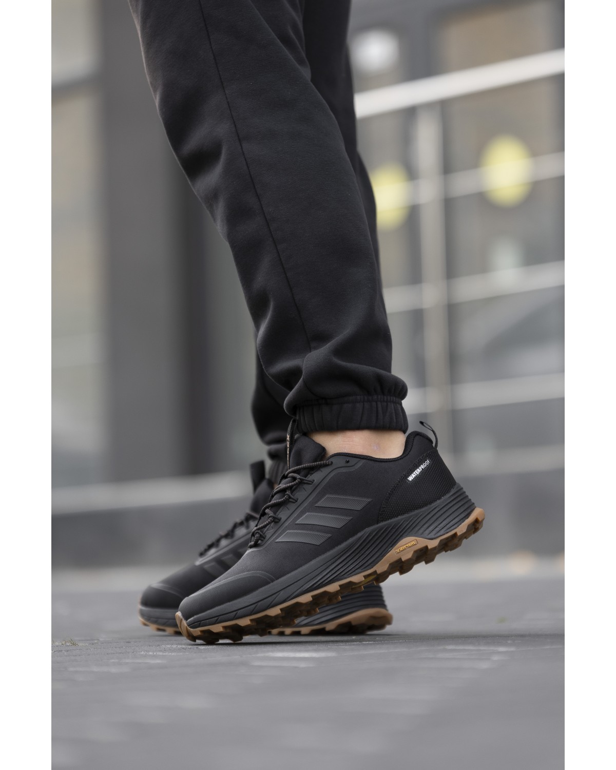 Adidas Terrex Gore-Tex