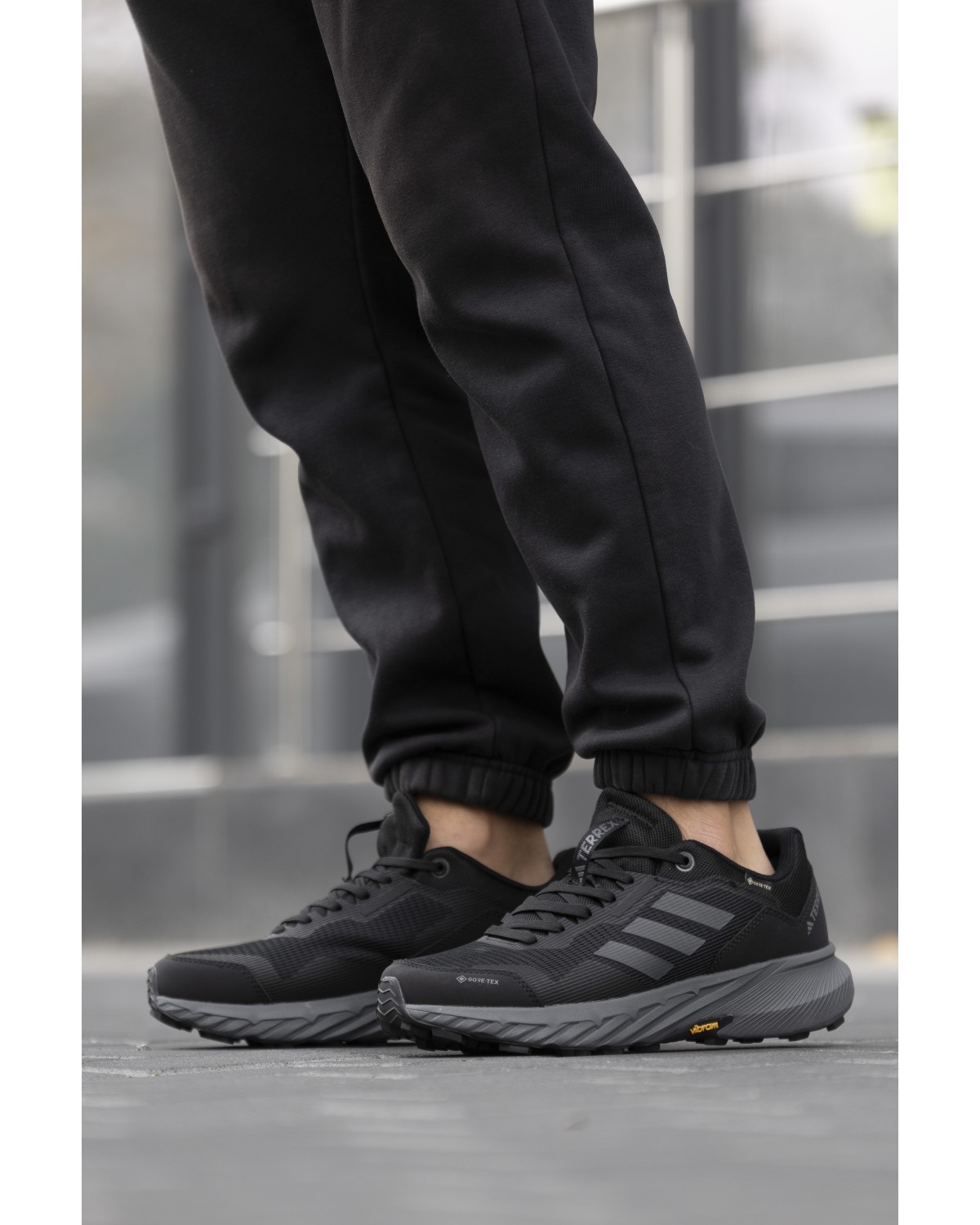 Adidas Terrex Gore-Tex