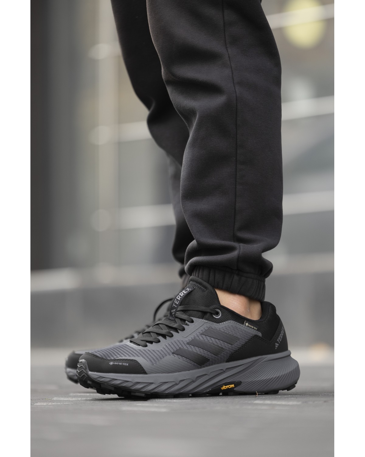 Adidas Terrex Gore-Tex