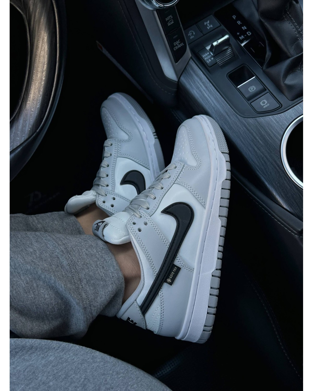 Nike SB Dunk Low Gore-Tex